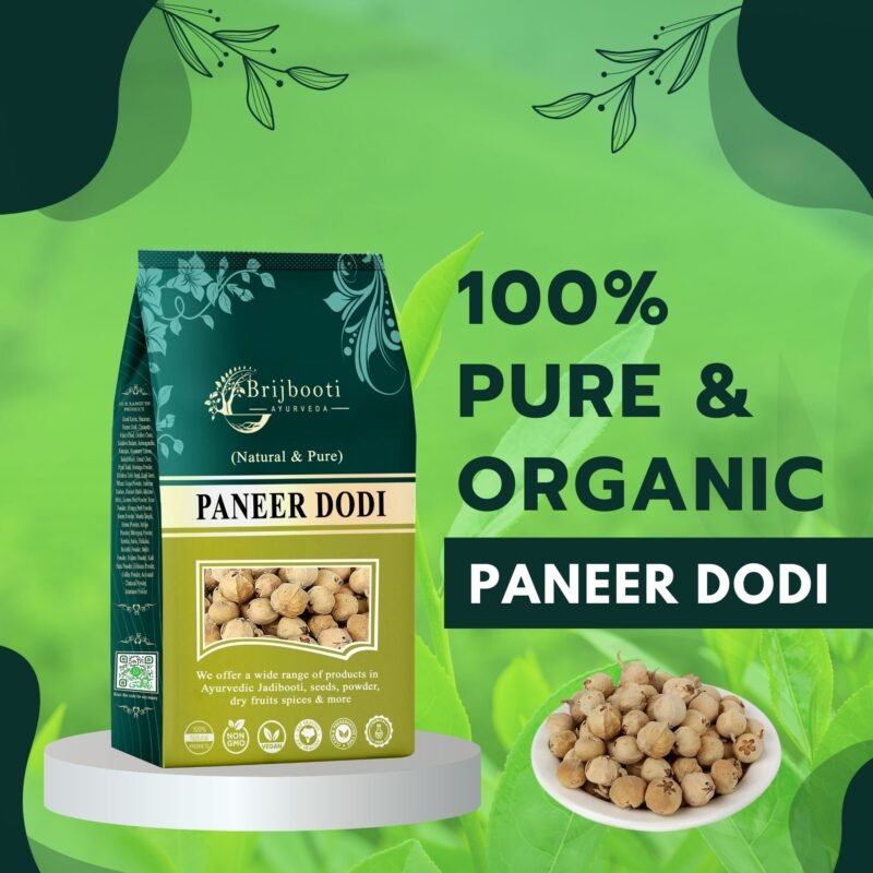 PANEER DODI
