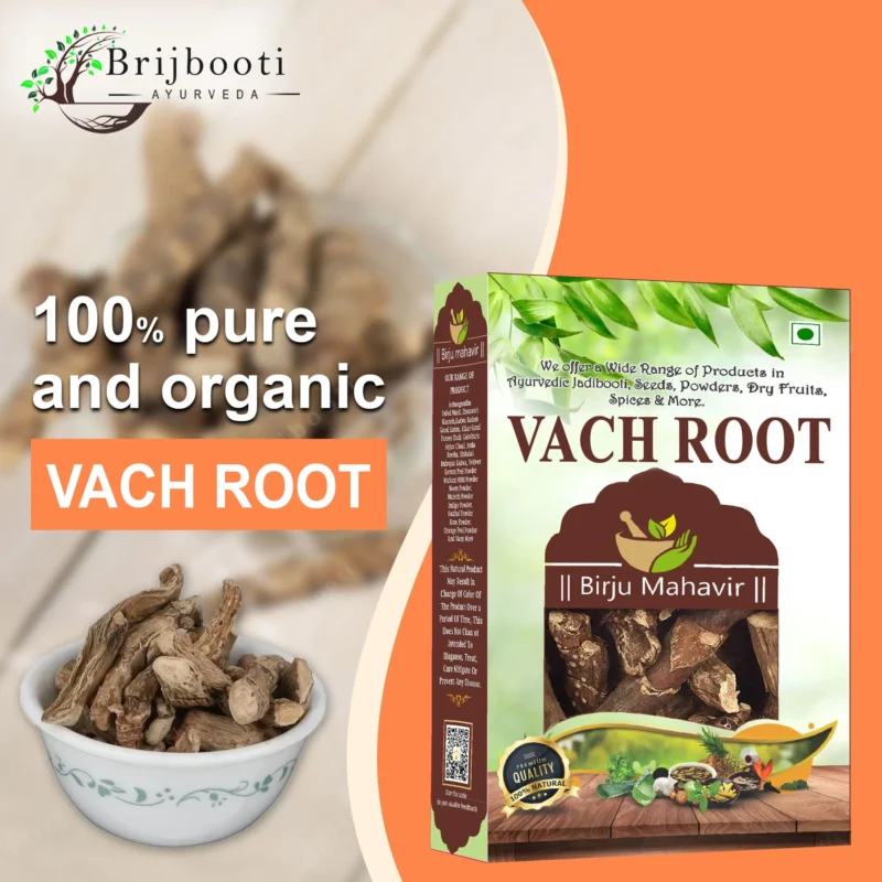 VACH ROOT