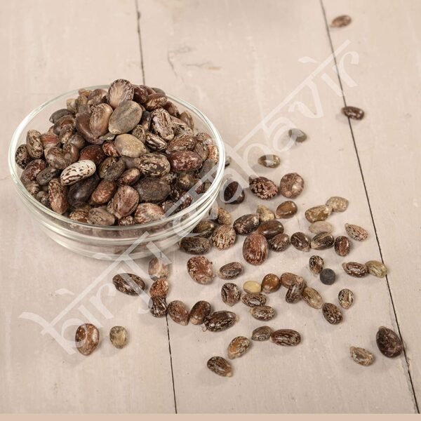 BrijBooti Castor Seeds - Arandi Seeds - Arandi Ke Beej