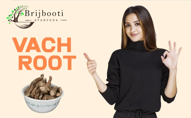 VACH ROOT