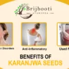 BENEFITS KARANJWA SEEDS