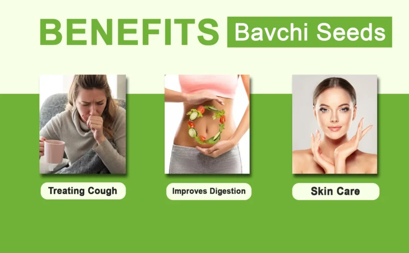 BAVCHI SEEDS BENEFITS