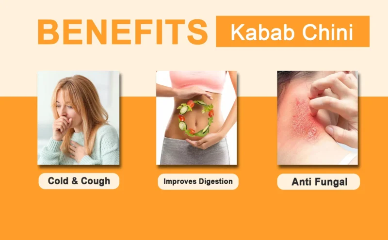 Kabab Chini Benefits