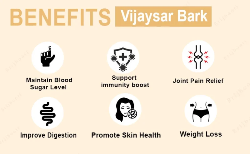 Vijaysar Bark Benefits