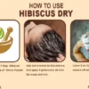 HOW TO USE HIBISCUS DRY