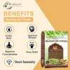 Benefits Shankhpushpi Powder