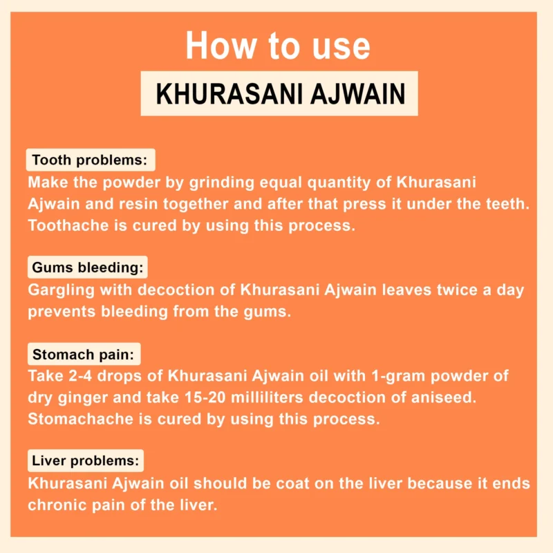 HOW TO USE KHURASANI AJWAIN