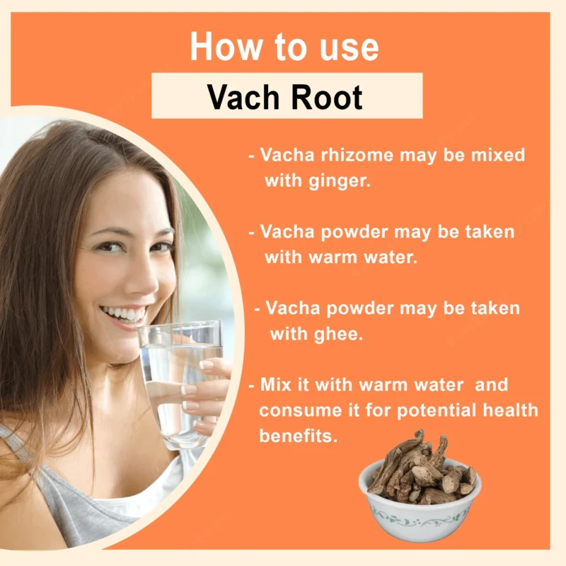 HOW TO USE VACH ROOT