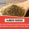 AJMOD SEEDS