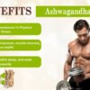 ASHWAGANDHA ROOT BENEFITS