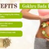 Gokhru Bada Powder Benefits