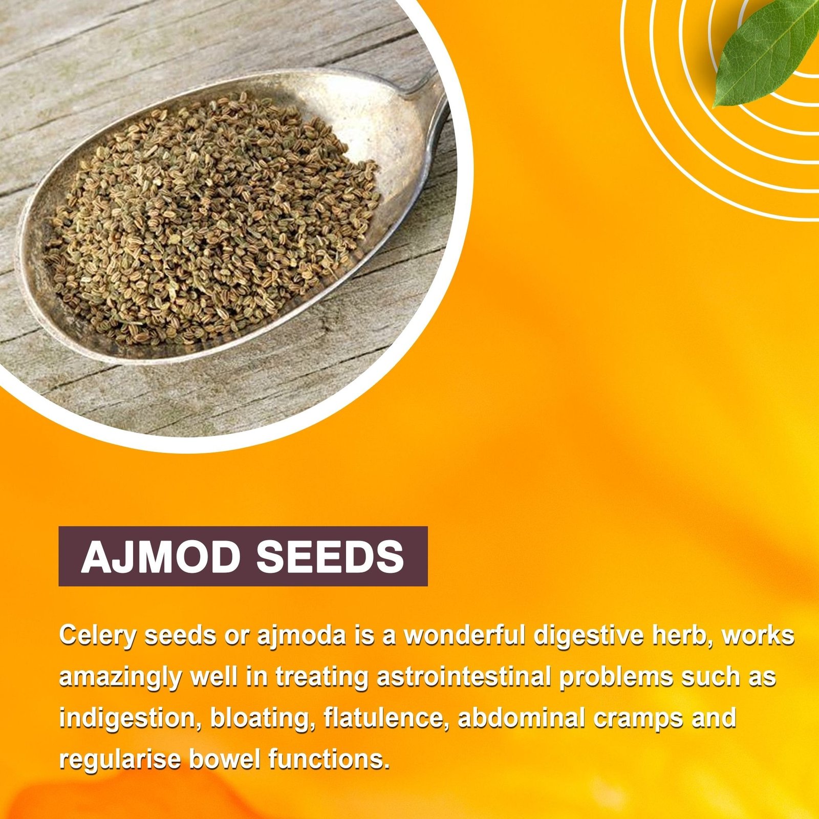 AJMOD SEEDS