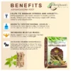 ASHWAGANDHA ROOT BENEFITS