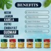 NEEM KARELA JAMUN KUTKI CHIRAYATA GUDMAR POWDER BENEFITS