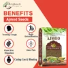 AJMOD SEEDS BENEFITS