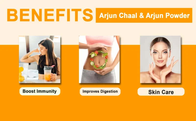 Arjun Chaal & Arjun Powder Benefits