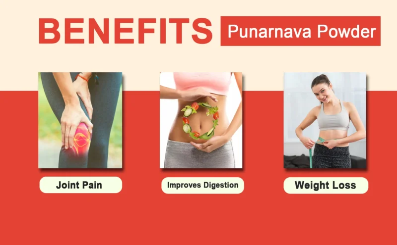 PUNARNAVA POWDER BENEFITS