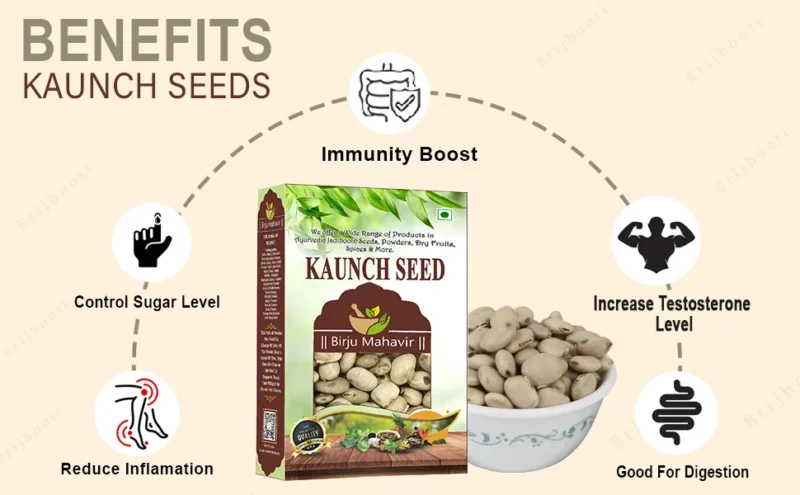 Kaunch Seeds Benefits