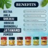 REETHA AMLA SHIKAKAI BHRINGRAJ HIBISCUS JATAMANSI BENEFITS