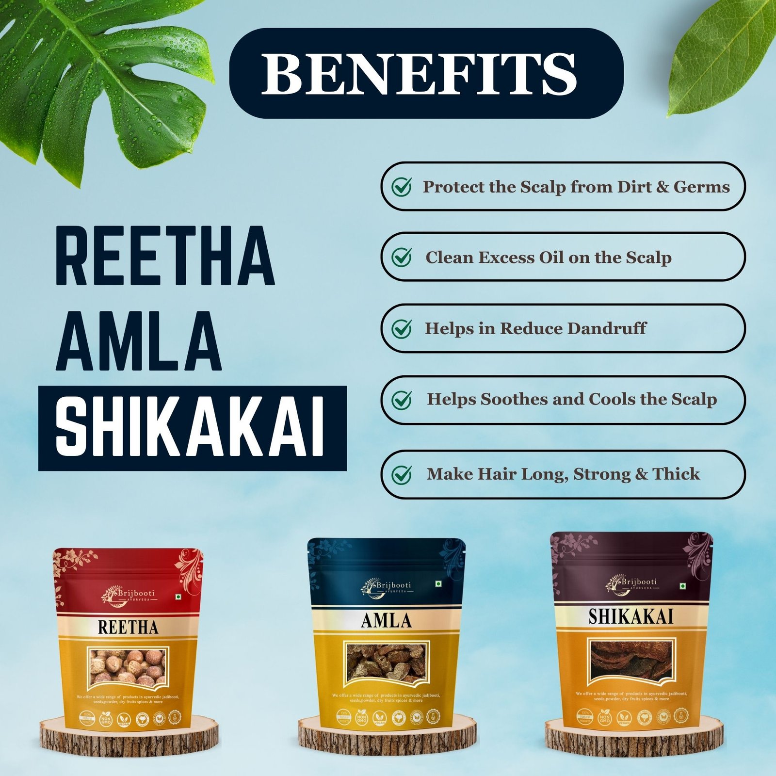 REETHA AMLA SHIKAKAI BENEFITS