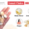 GOMATI CHAKRA BENEFITS