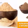 PUTRAJEEVAK & SHIVLINGI POWDER