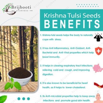 Brijbooti Krishna Tulsi Seed - Ocimum Sanctum - Edible Beej Tulsi - Krishna Basil Seed -Shyama Tulsi
