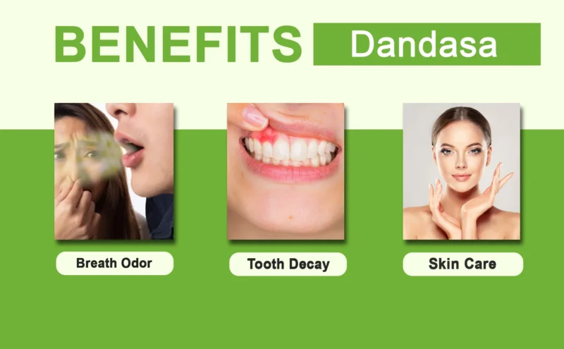 DANDASA SABUT BENEFITS