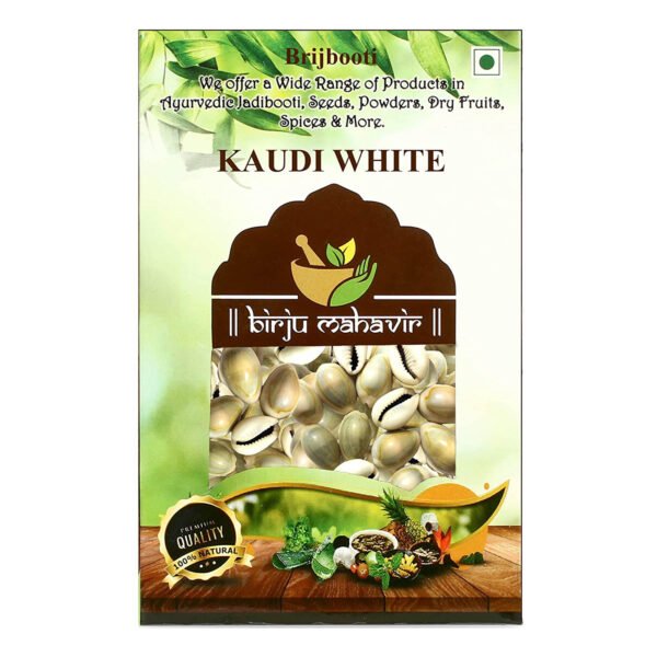 BrijBooti Natural White Kodi - White Kaudi - Safed Kawri - Kodi - Laxmi and Diwali Puja