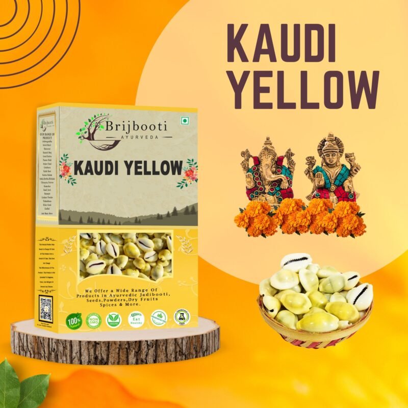 YELLOW KAUDI