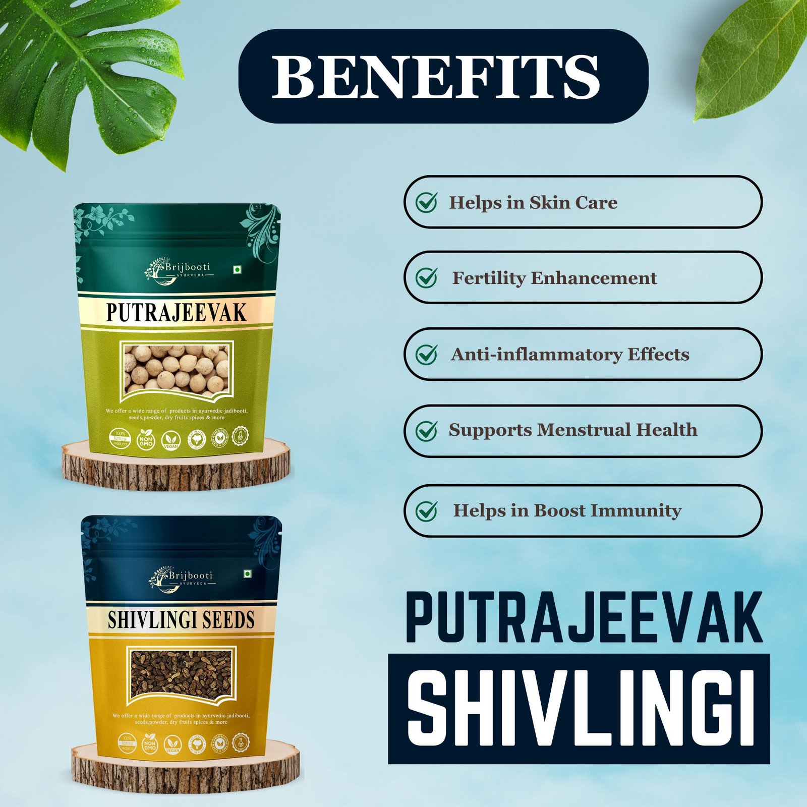 PUTRAJEEVAK AND SHIVLINGI SEEEDS BENEFITS