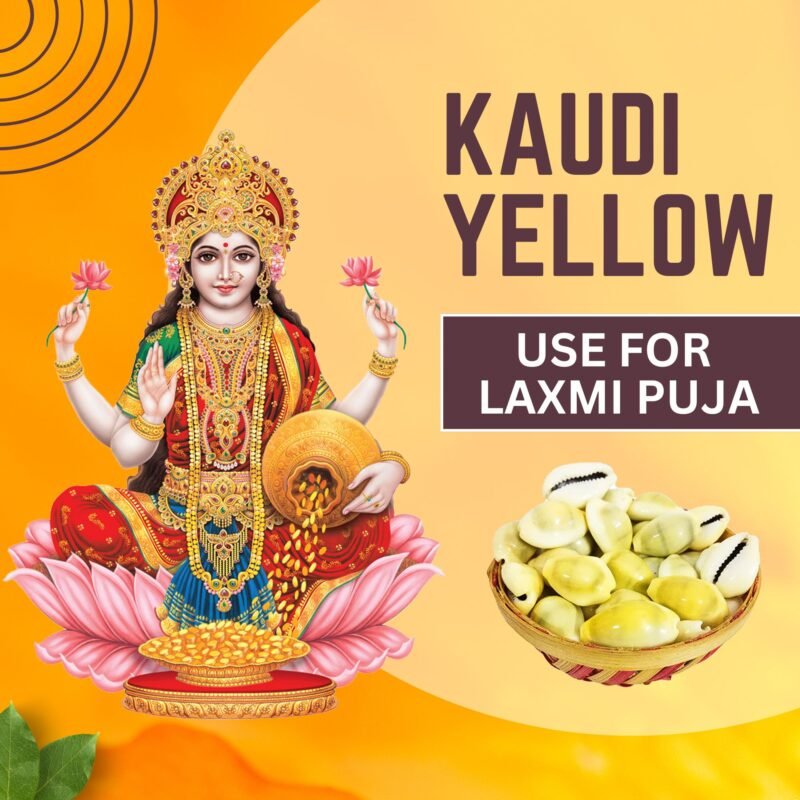 YELLOW KAUDI