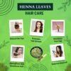 HEENA LEAVES HAIR CARE