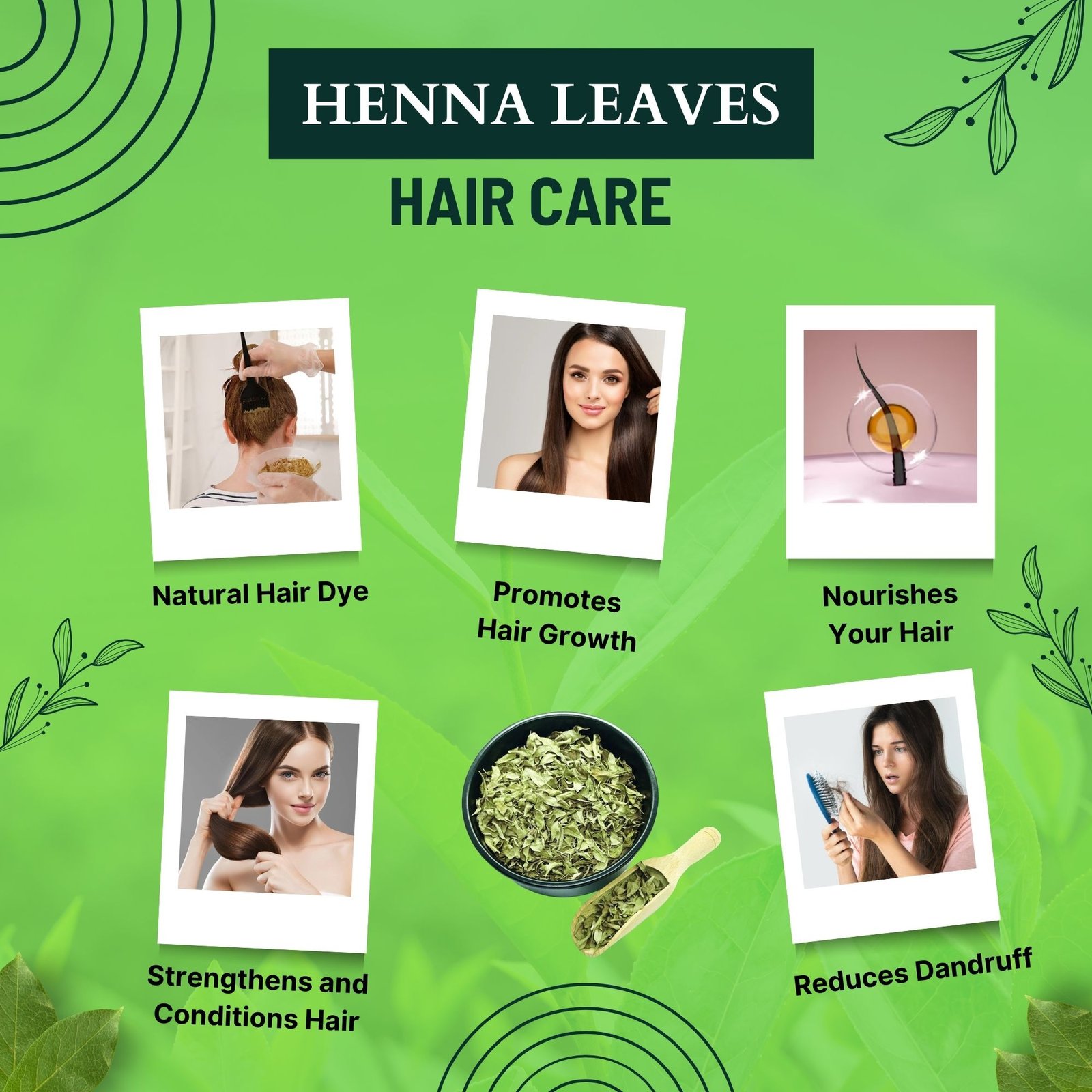 HAIR CARE HEENA LEAVES HAIR CARE