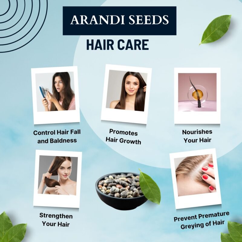 ARANDI SEEDS