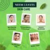 NEEM LEAVES SKIN CARE