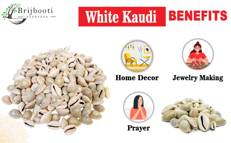 WHITE KAUDI BENEFITS