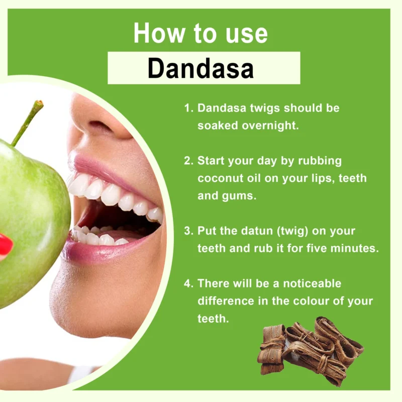 DANDASA SABUT HOW TO USE