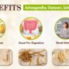 Ashwagandha Safed Musli Shatavari Root Benefits