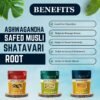 ASHWAGANDHA SAFED MUSLI SHATAVARI ROOT HOW TO USE