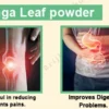 moringa leaf powder Benefits