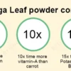 moringa leaf powder Benefits