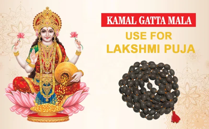 Kamal Gatta Mala Use For Lakshmi Prayer