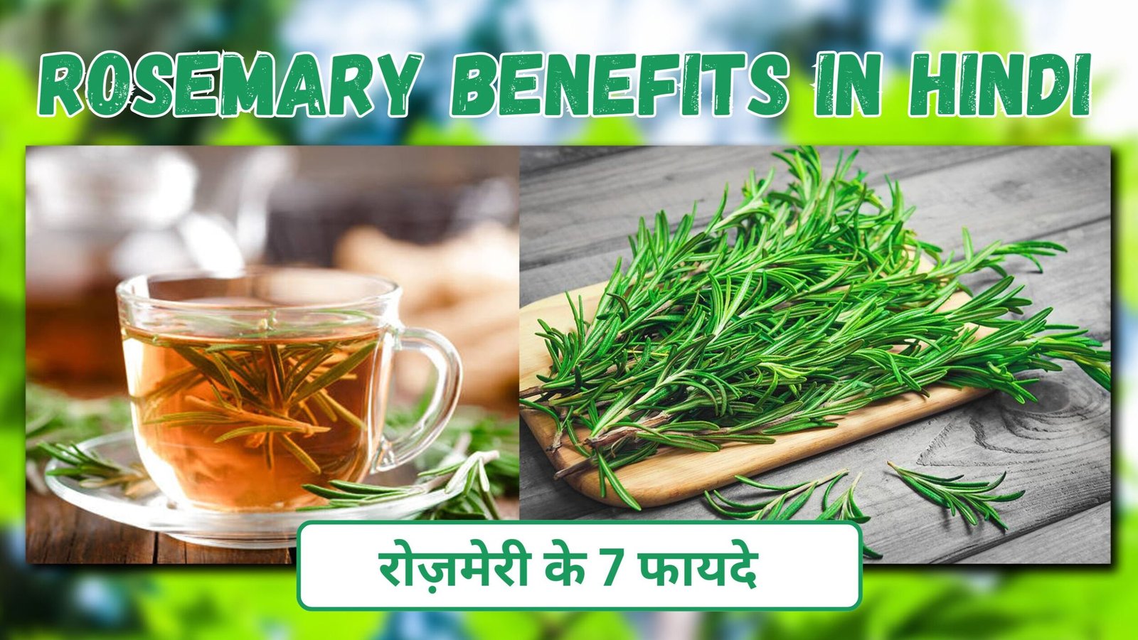 Rosemary benefits in hindi | रोज़मेरी के फ़ायदे | बालों को बनाये मजबूत और स्वस्थ