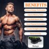 Shilajit Benefits