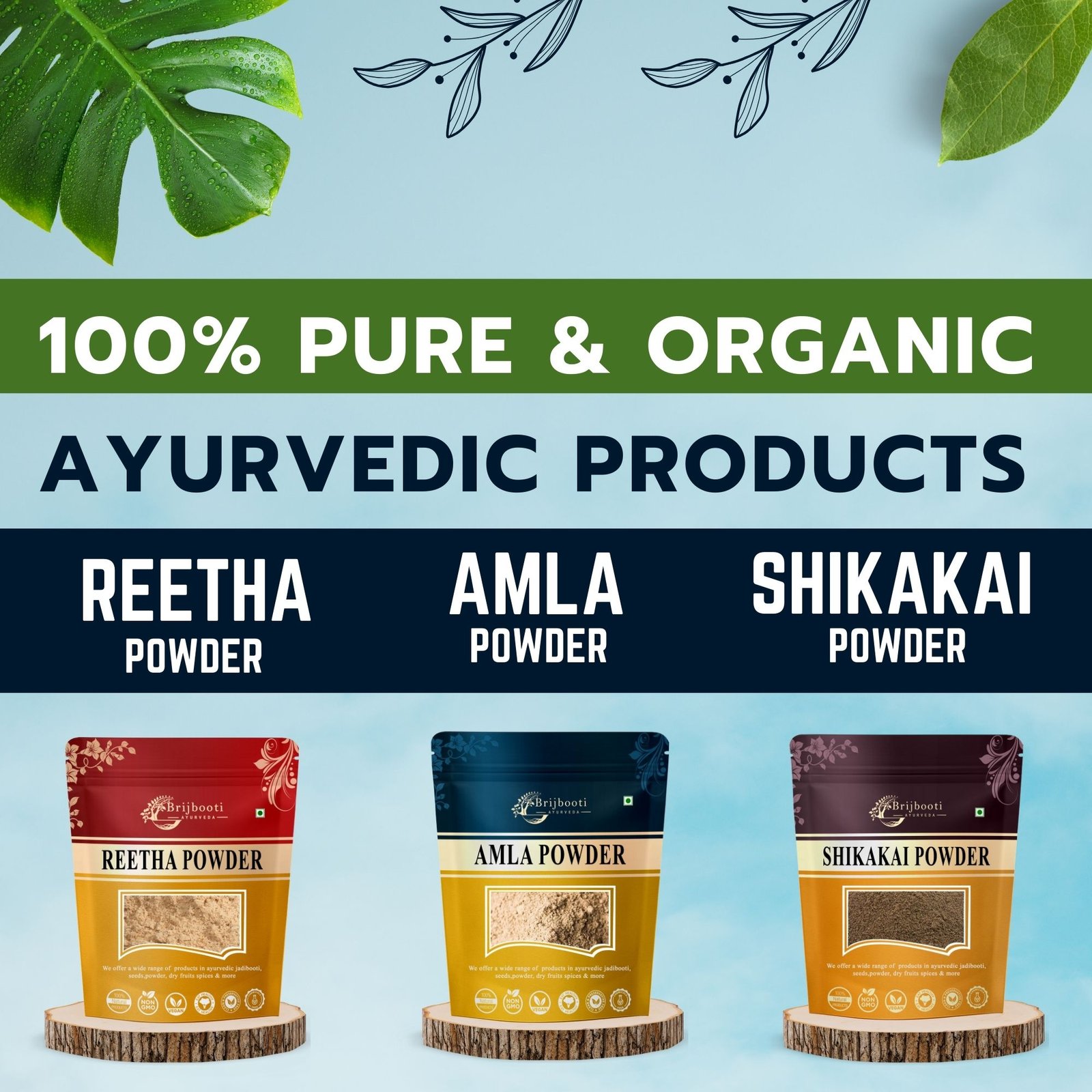 REETHA AMLA SHIKAKAI POWDER