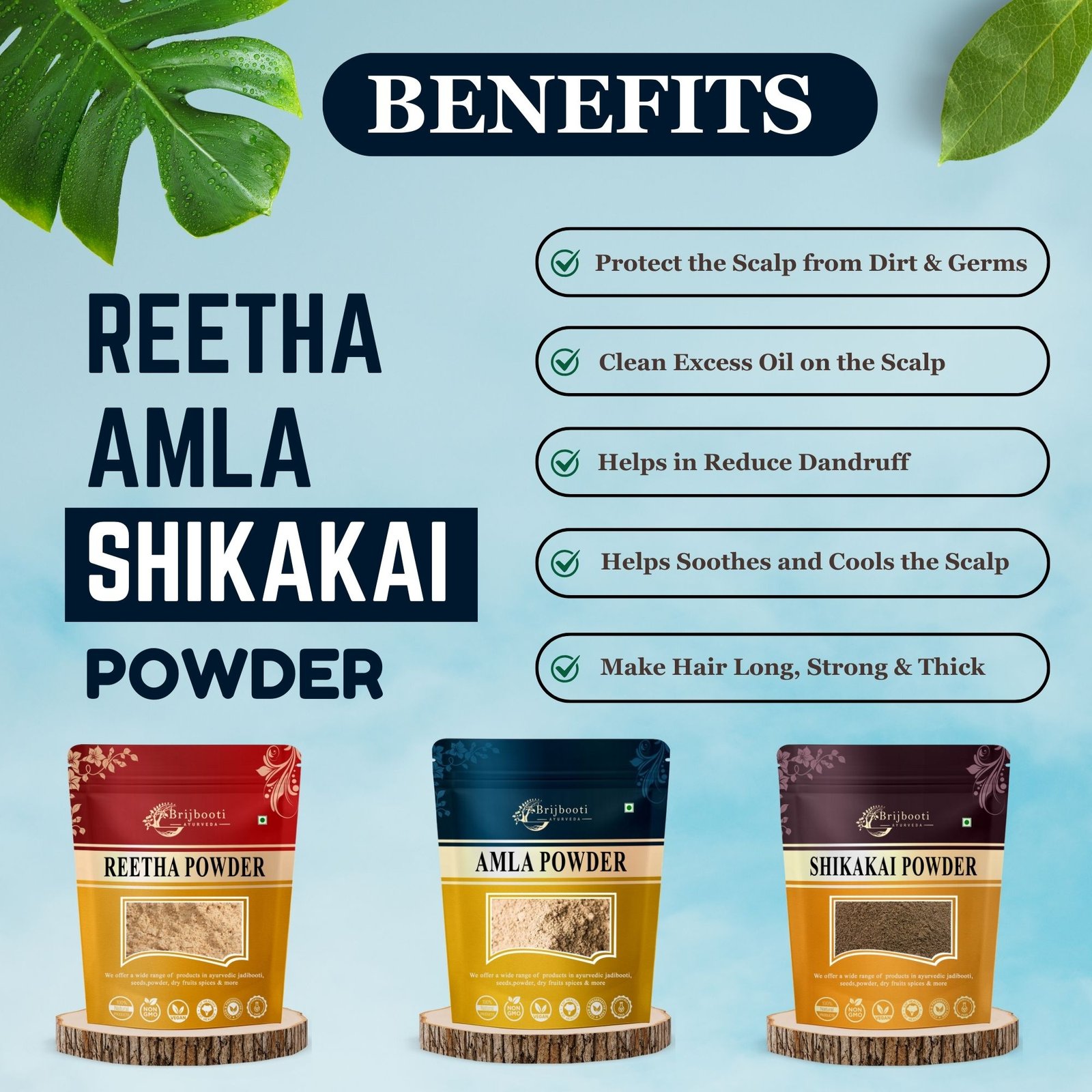 REETHA AMLA SHIKAKAI POWDER BENEFITS