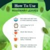 ROSEMARY LEAVES HOW TO USE