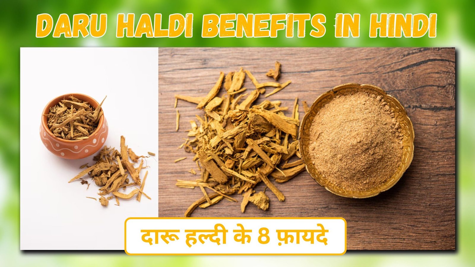 Daru haldi benefits in hindi |दारुहरिद्रा ( दारू हल्दी )के फायदे और उपयोग