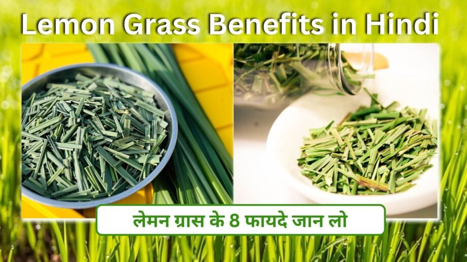 Lemon Grass Benefits in Hindi